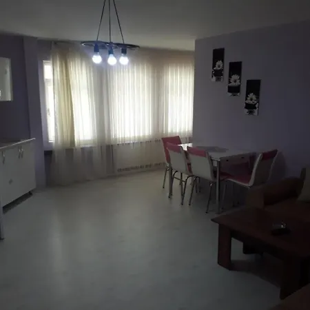 Loyal City Residence 3 * Bursa